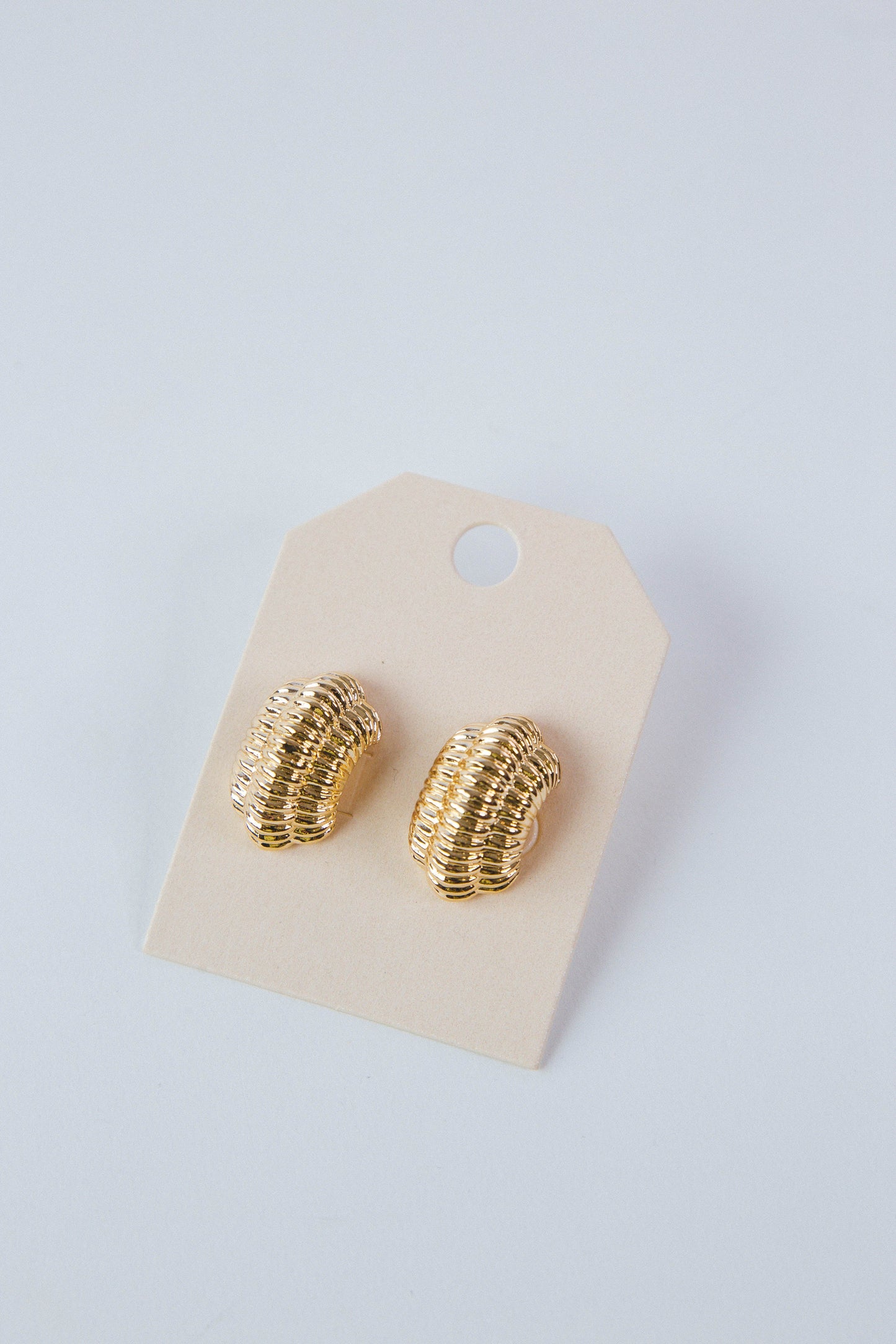 Hunter Curved Texture Metal Earrings