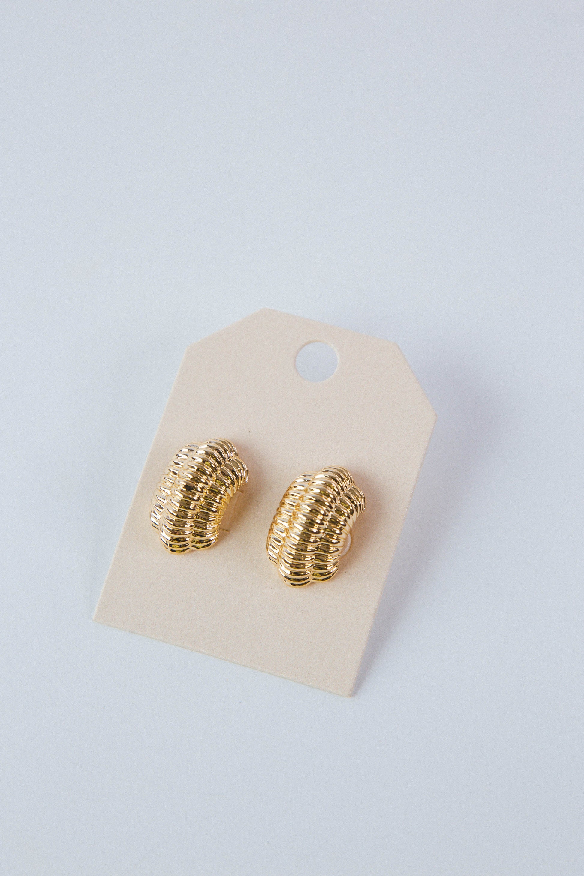  Hunter Curved Texture Metal Earrings