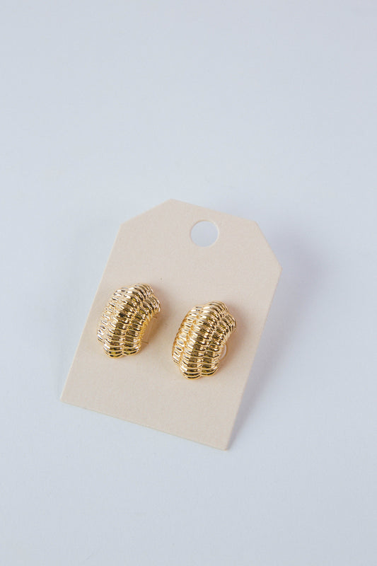  Hunter Curved Texture Metal Earrings
