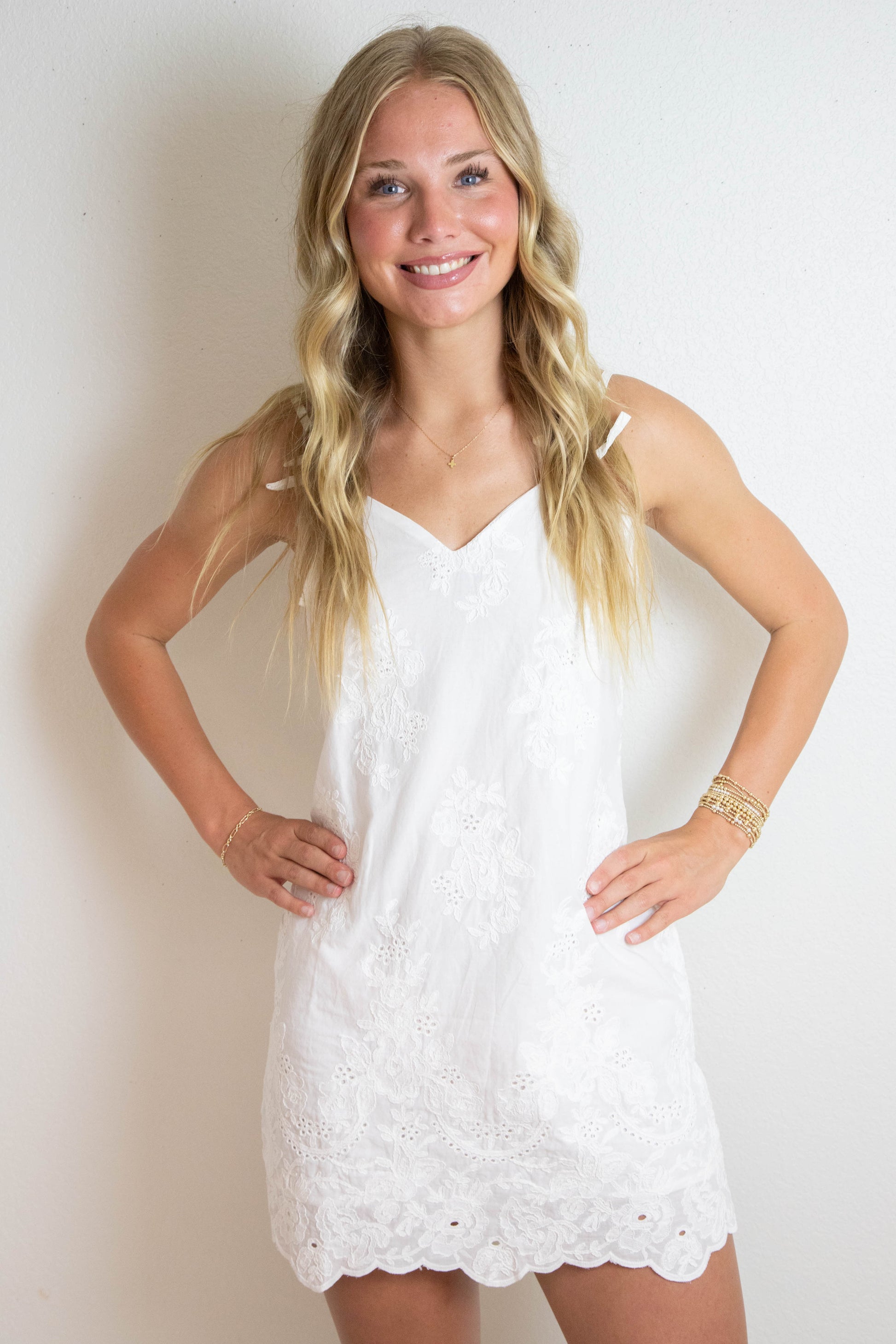  Blaire Floral Embroidered Mini Dress, White Floral