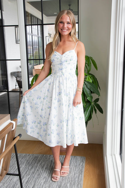  Miller Rose Print A-Line Dress, White/Blue Floral