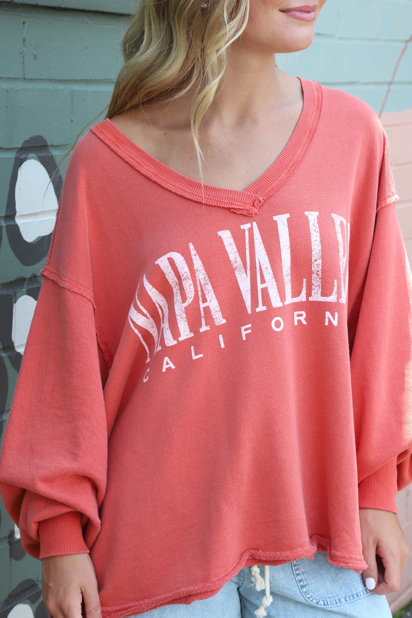  Venice V-Neck Graphic Sweatshirt, Rose Sienna Combo | Free People