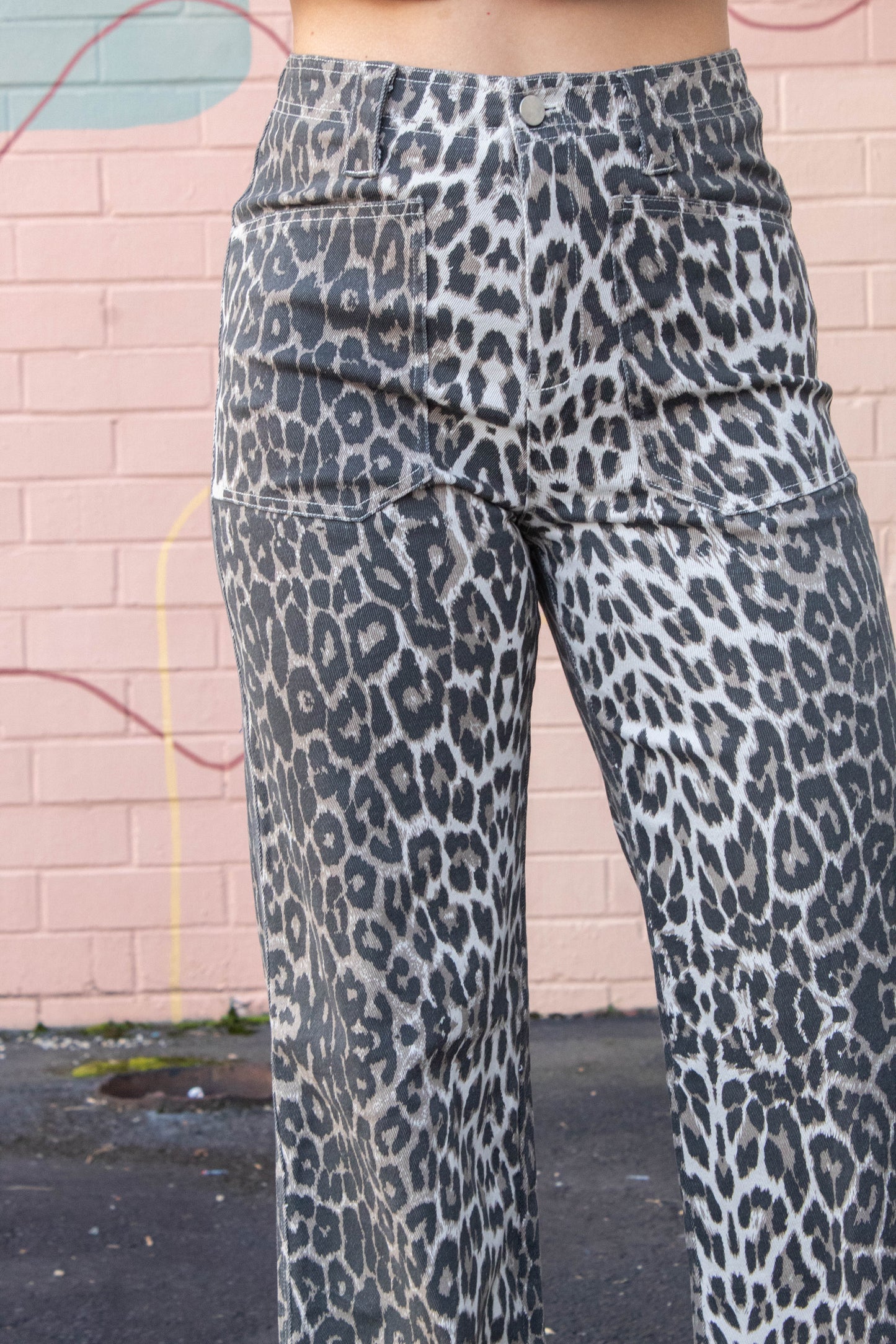  Hallie Leopard Patch Pocket Pants, Taupe
