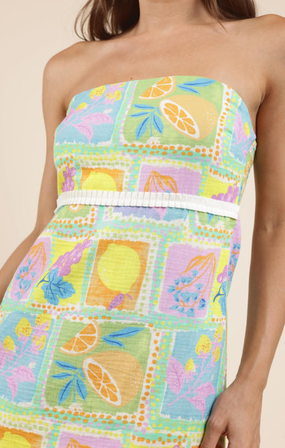 Mimosa Tube Mini Dress, Multi | Sadie & Sage